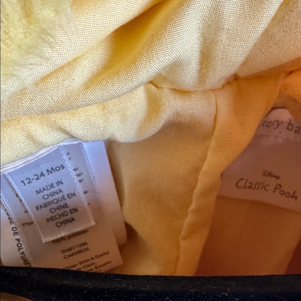 Pottery Barn Winnie the Pooh Baby Costume with attached Red Vest - Picture 3 of 7